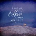 I Love you to the Moon