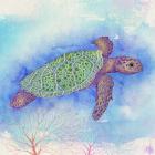 Bright Sea turtle