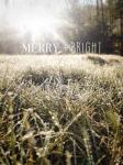 Merry and Bright