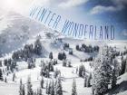 Winter Wonderland