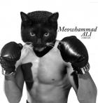 Meowhammad Ali