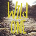 Wild One River