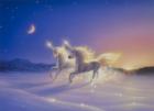 Winter Wonderland 2