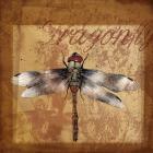 Dragonfly I