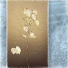 Lunaria I