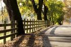 Roadside Fence