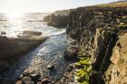 Wild Sonoma Coast