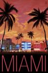 Miami City Palms Scene