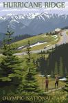 Hurricane Ridge Olympic Park