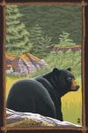 Black Bear 1