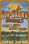Sun Grown Oranges