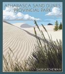 Athabasca Sand Dunes