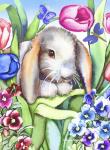 Loveable Lop