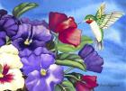 Hummingbird and Pansies