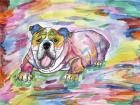Bully For You