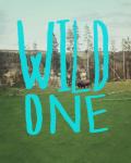 Wild One Art