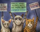 Cats On Strike