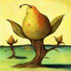 Pear Trees 2