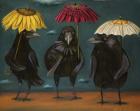 Ravens Rain
