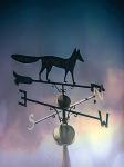 Rain On The Old Fox Weather Vane