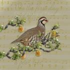 Partridge In A Pear Tree