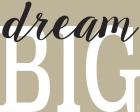 Dream Big 2