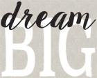 Dream Big Distressed Treatment