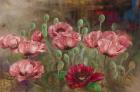 Poppies IV