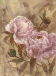 Peony I