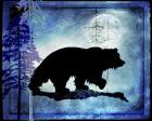 Midnight Bear