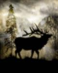 Mystic Elk