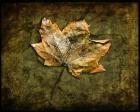 Metallic Leaf 1