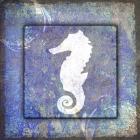 Beach House Sea Horse