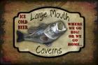 Large Mouth Cavern II