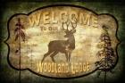 Welcome - Lodge Deer