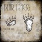 Moose Lodge 2 - Bear Tracks 2