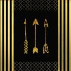 Black & Gold - Feathered Fashion Arrow