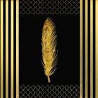 Black & Gold - Feathered Fashion