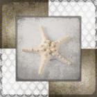 Vintage Natuical Star 2