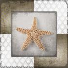 Vintage Natuical Star