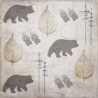 Bear Lodge Pattern