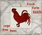 Decorative Pattern Farm Fresh Chicken