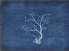 Gypsy Blue Cyanotype V2