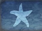 Gypsy Blue Cyanotype V6