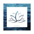 Yoga V1 Lotus