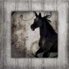 Gypsy Horse Collection V1 8