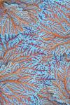 Sea Creatures Surface Pattern 1