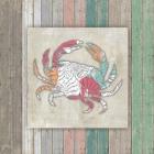 Sea Side BoHo Frame - Crab