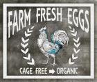 Farm Sign Eggs