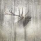 Antique Wildlife Elk 2